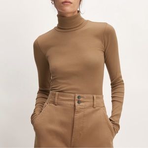 Everlane The Supima® Micro-Rib Turtleneck